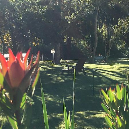 Constantia Spring B&B 외부 사진