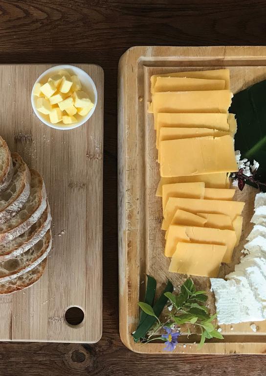 Constantia Spring B&B 외부 사진