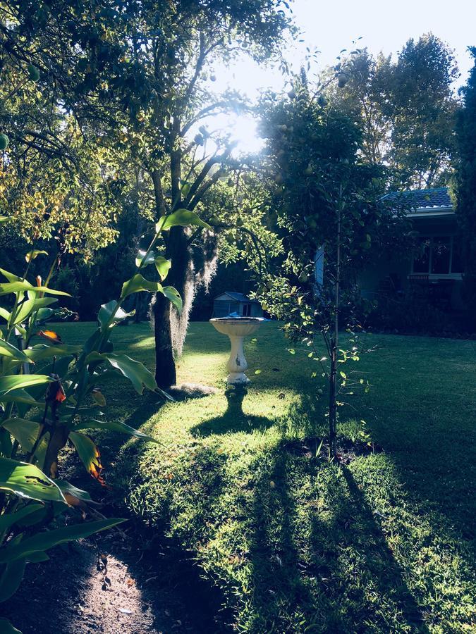 Constantia Spring B&B 외부 사진