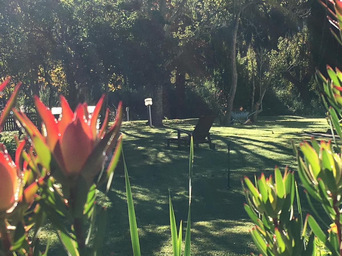 Constantia Spring B&B 외부 사진
