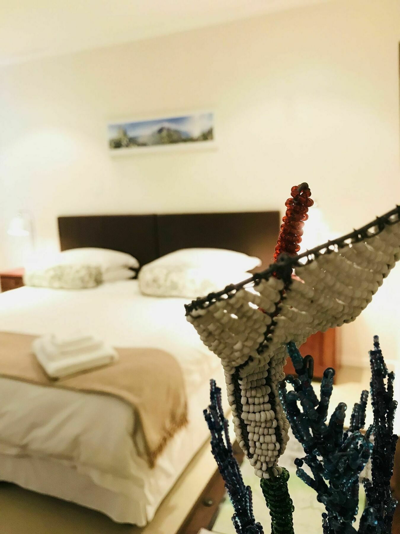 Constantia Spring B&B 외부 사진