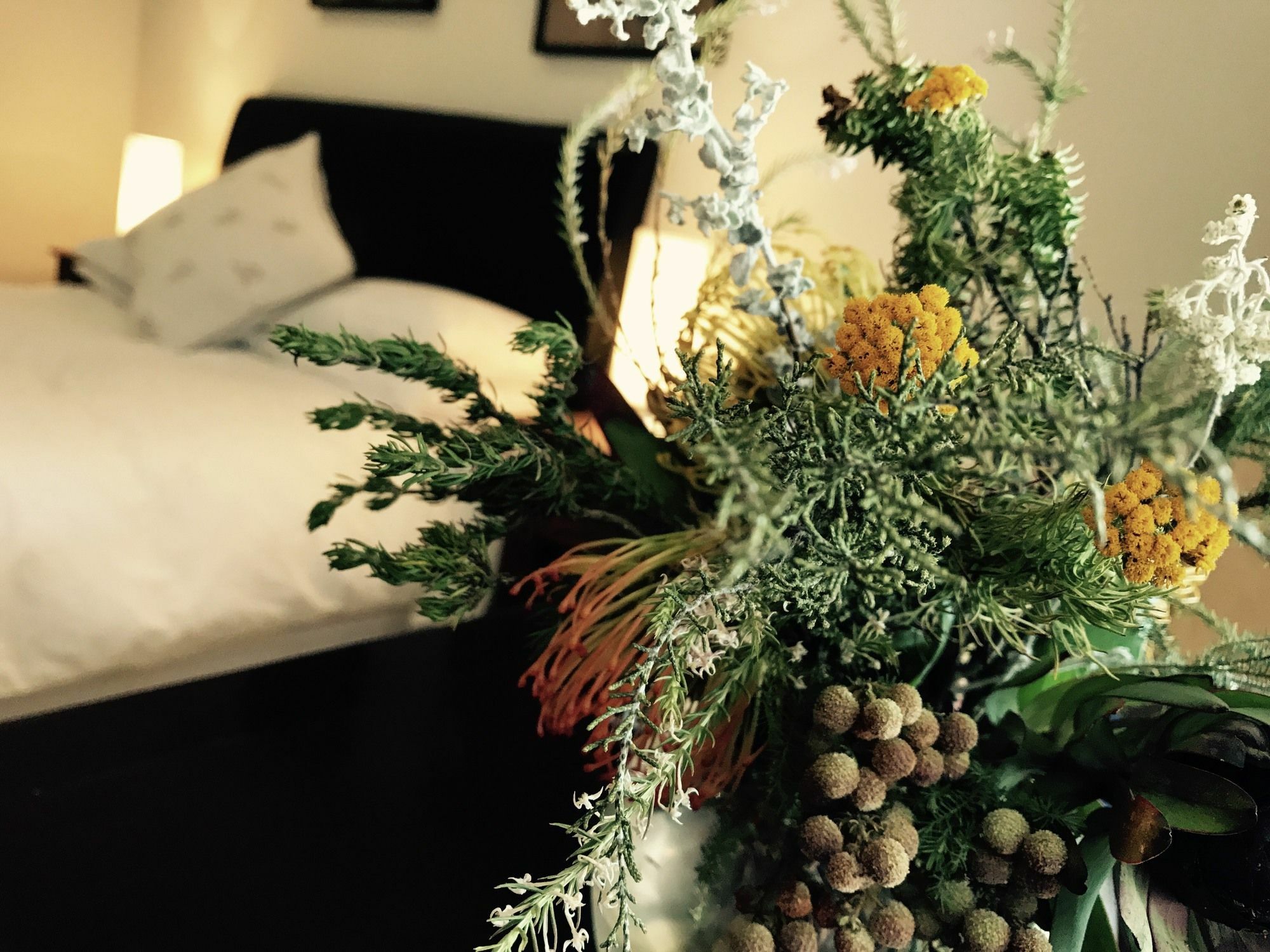 Constantia Spring B&B 외부 사진